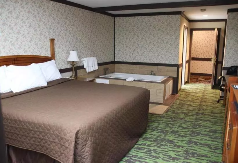 シングルデラックスルーム, Spring House Inn
