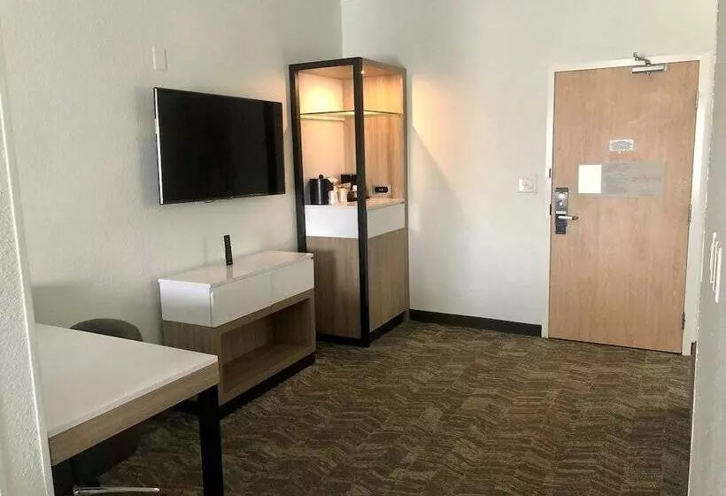 スイート, Springhill Suites Dallas Arlington North