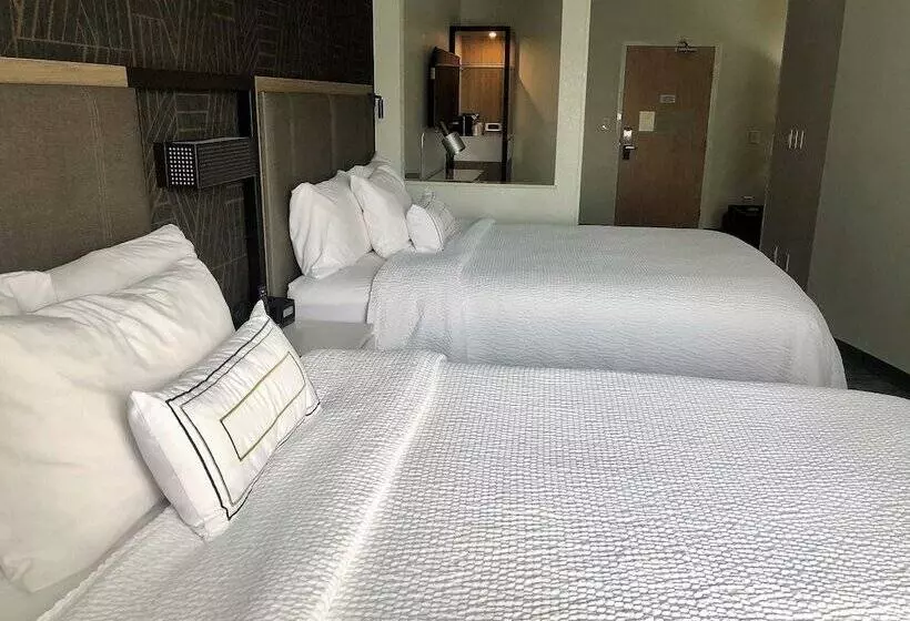 スイート, Springhill Suites Dallas Arlington North