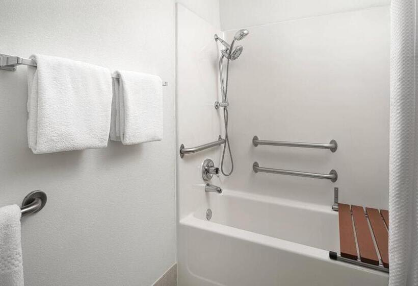 جناح سرير كينج, Springhill Suites Dallas Arlington North