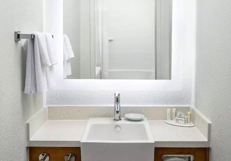 キングサイズベッドのスイートルーム, Springhill Suites Dallas Arlington North