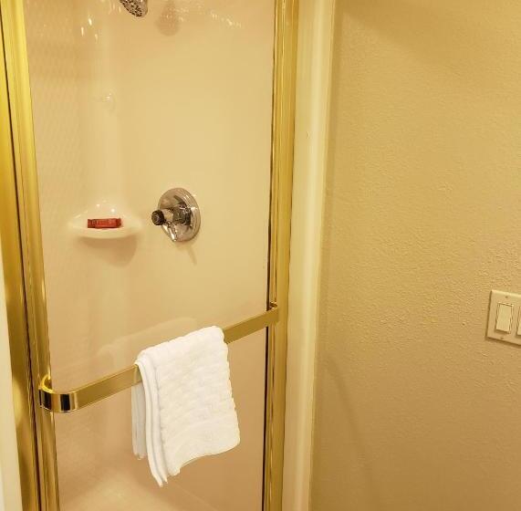 غرفة قياسية سرير كينج, Denver North