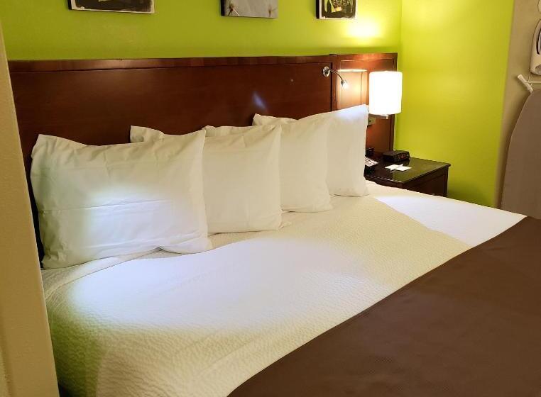 غرفة قياسية سرير كينج, Denver North