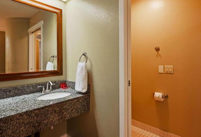 غرفة قياسية سرير كينج, Denver North