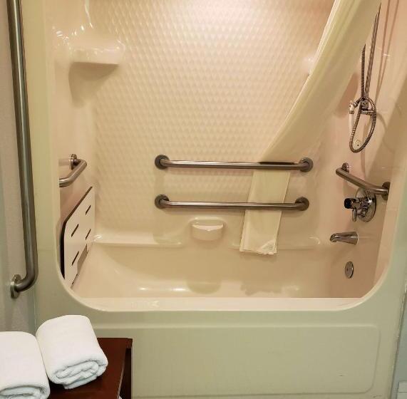 غرفة قياسية سرير كينج لذوى الإحتياجات الخاصة, Denver North