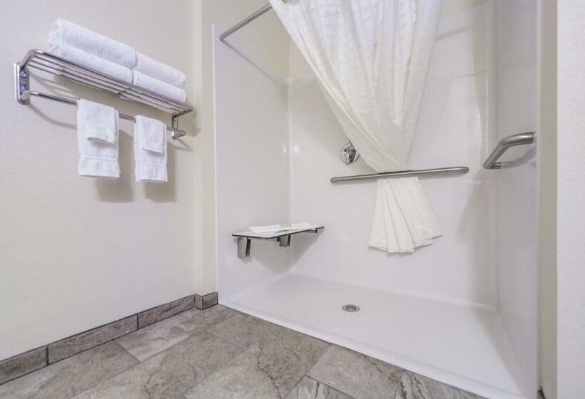 身障者適用キングサイズベッドルーム, Cobblestone Inn & Suites  Holdrege