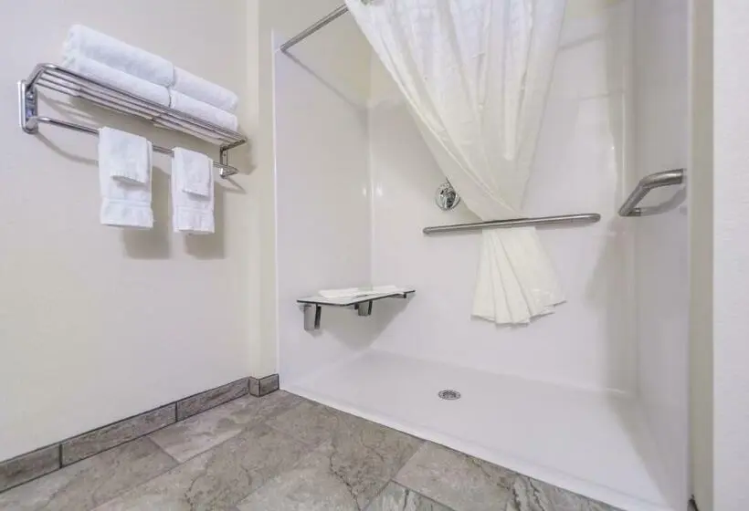 身障者適用キングサイズベッドルーム, Cobblestone Inn & Suites  Holdrege
