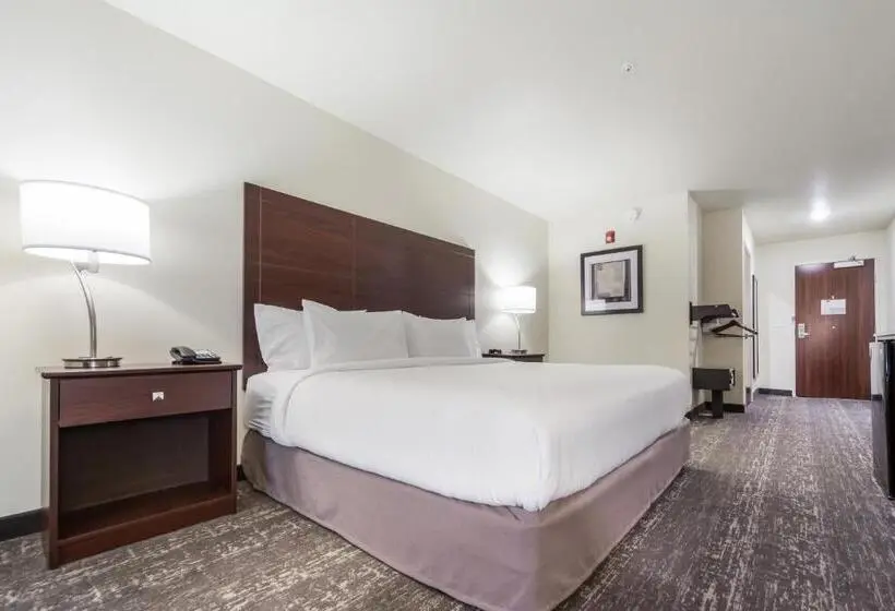 キングサイズベッドのスタンダードルーム, Cobblestone Inn & Suites  Holdrege
