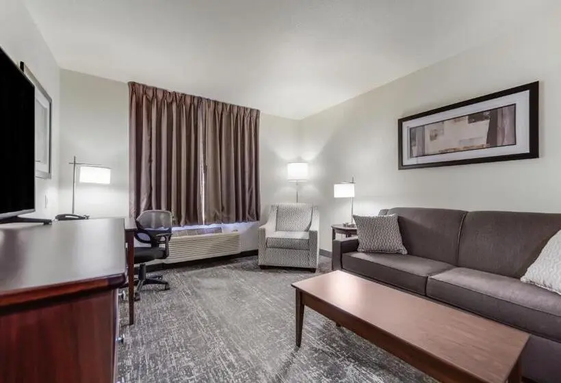 身障者適用キングサイズベッドルーム, Cobblestone Inn & Suites  Holdrege