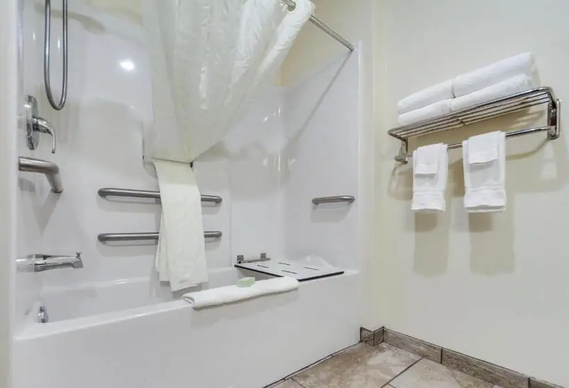 身障者適用キングサイズベッドルーム, Cobblestone Inn & Suites  Holdrege