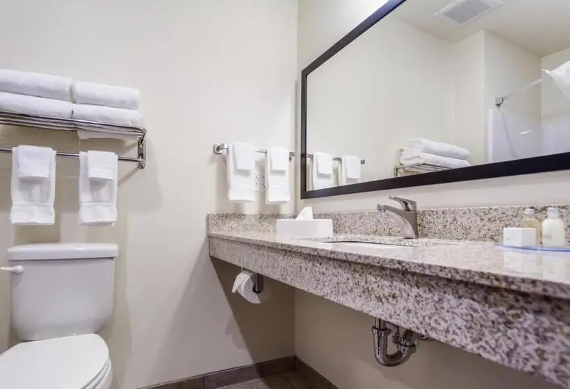 スイート, Cobblestone Inn & Suites  Holdrege