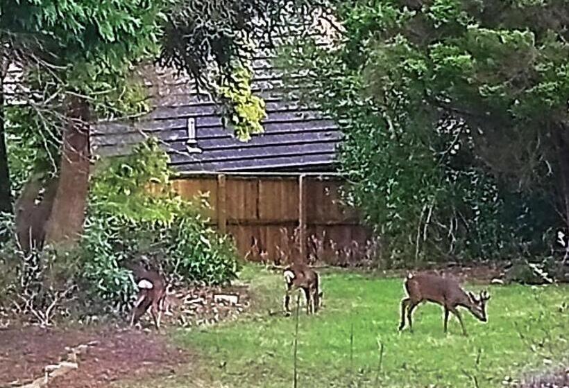 스탠다드 룸, Heatherlie House