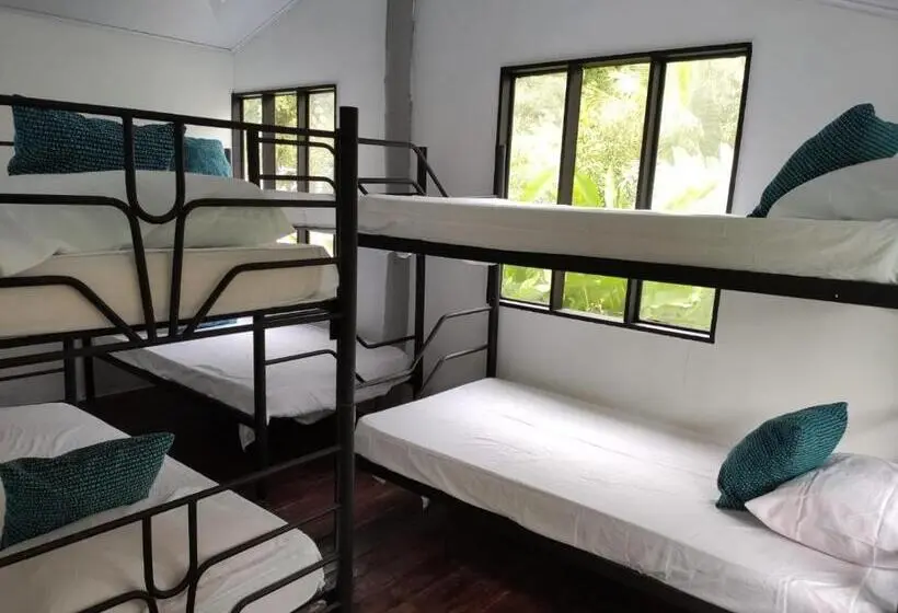 Vuode Makuusalissa, Uvita Pirates Hostel