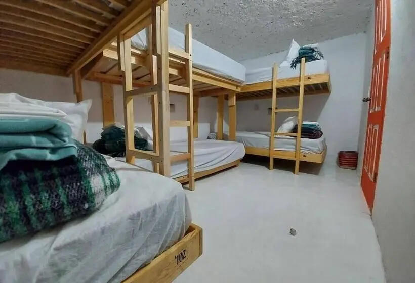ルームシェアのワンベッド, Hostal El Alebrije