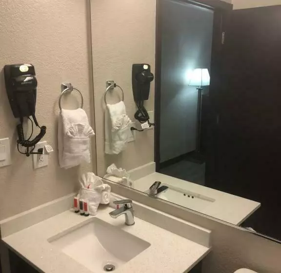 身障者適用キングサイズベッドルーム, Baymont By Wyndham Phoenix I10 Near 51st Ave
