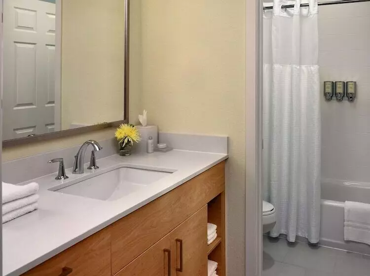 ２ベッドスイートルーム, Sonesta Es Suites Somerset