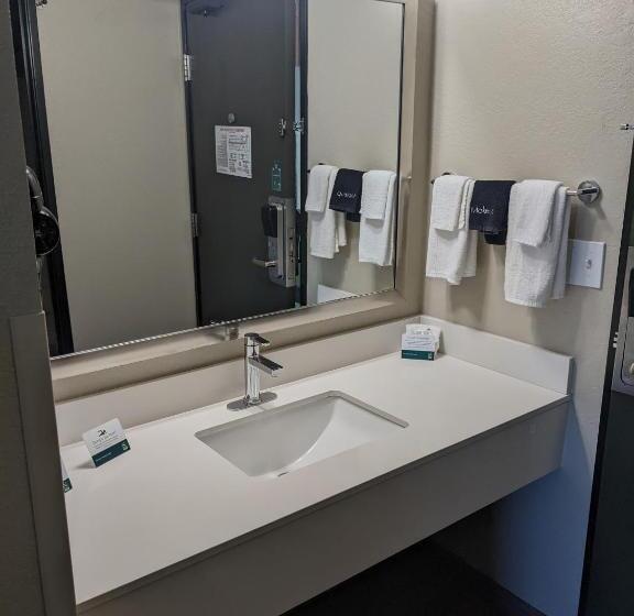 Стандартный Номер Кровать Кинг, Quality Inn & Suites