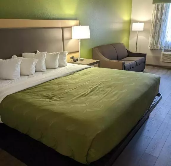 キングサイズベッドのスタンダードルーム, Quality Inn & Suites