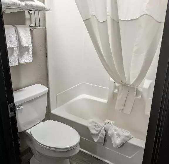 キングサイズベッドのスタンダードルーム, Quality Inn & Suites