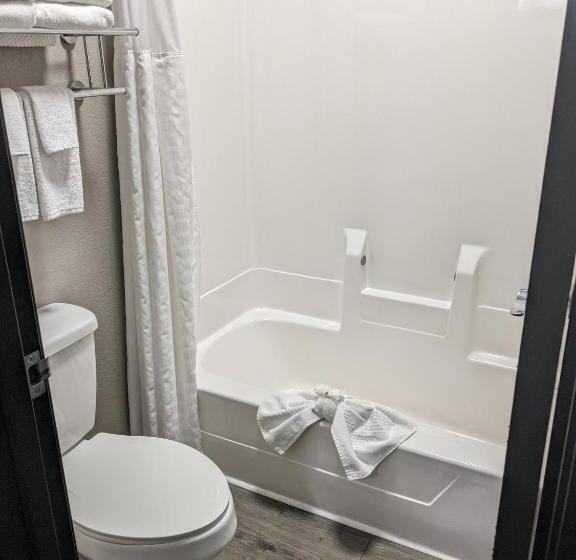 غرفة قياسية سرير كينج, Quality Inn & Suites