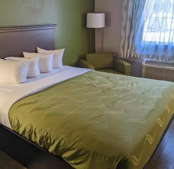 身障者適用クイーンサイズベッドルーム, Quality Inn & Suites