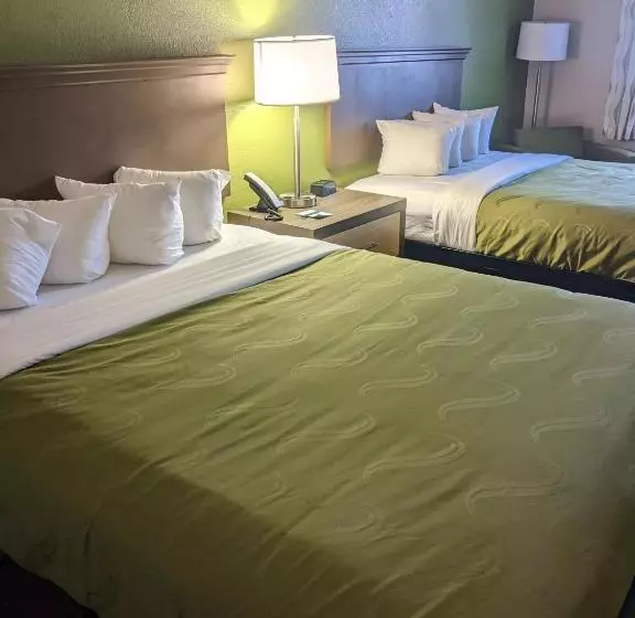 身障者適用クイーンサイズベッドルーム, Quality Inn & Suites