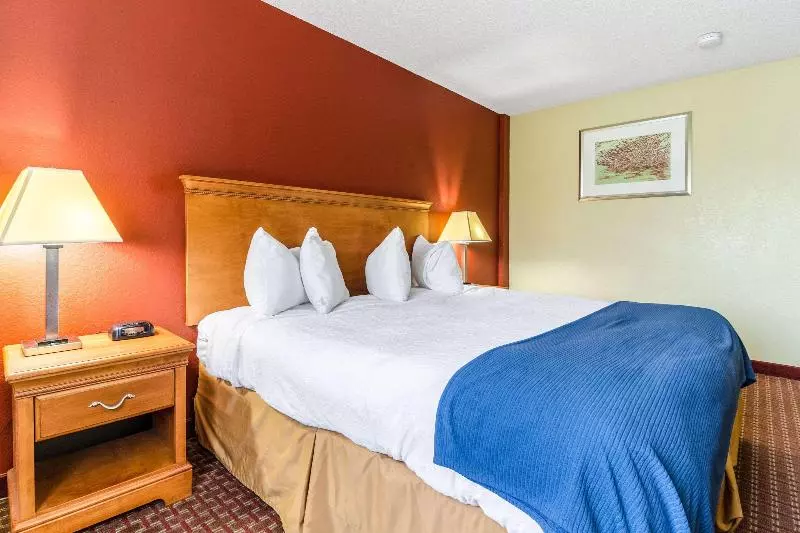 اتاق استاندارد با تخت بزرگ, Rodeway Inn & Suites Jacksonville Near Camp Lejeune