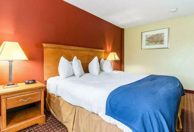 اتاق استاندارد با تخت بزرگ, Rodeway Inn & Suites Jacksonville Near Camp Lejeune