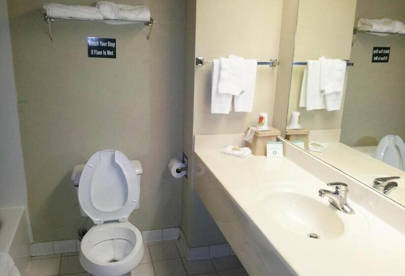 غرفة قياسية, Namaste Inn & Suites Dawsonville