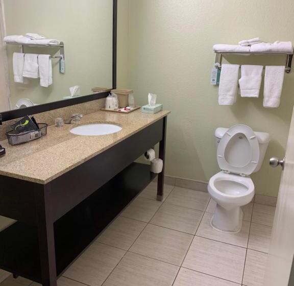 キングサイズベッドのデラックスルーム, Super 8 By Wyndham Hull Street Midlothian Richmond Area