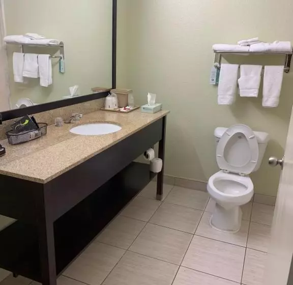 キングサイズベッドのスイートルーム, Super 8 By Wyndham Hull Street Midlothian Richmond Area