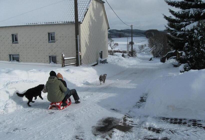 １ベッドルームアパートメント, Oberes Ourtal Lodge