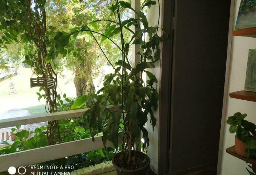 Номер Стандарт Совместная Ванная, La Isleña Habitaciones