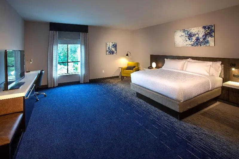 身障者適用キングサイズベッドルーム, Hilton Garden Inn Redmond Seattle