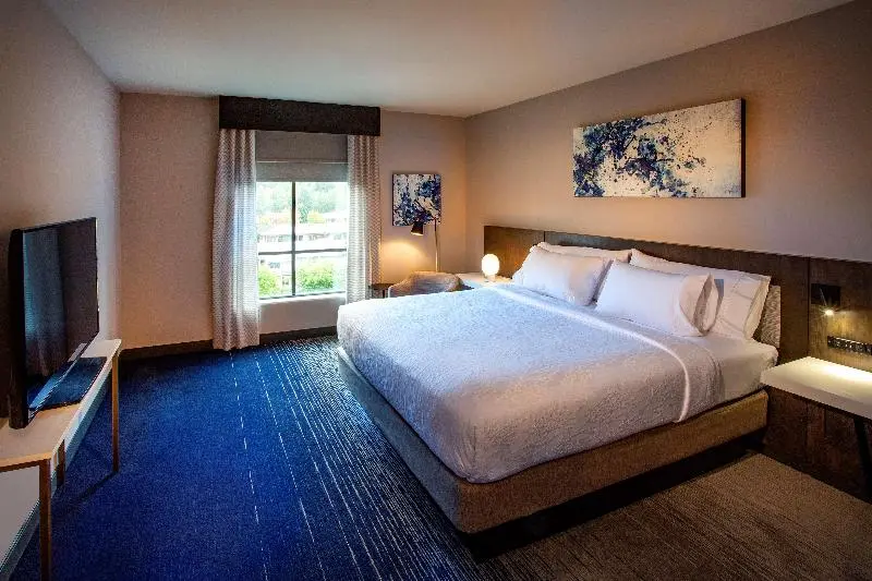 キングサイズベッドのジュニアスイート, Hilton Garden Inn Redmond Seattle