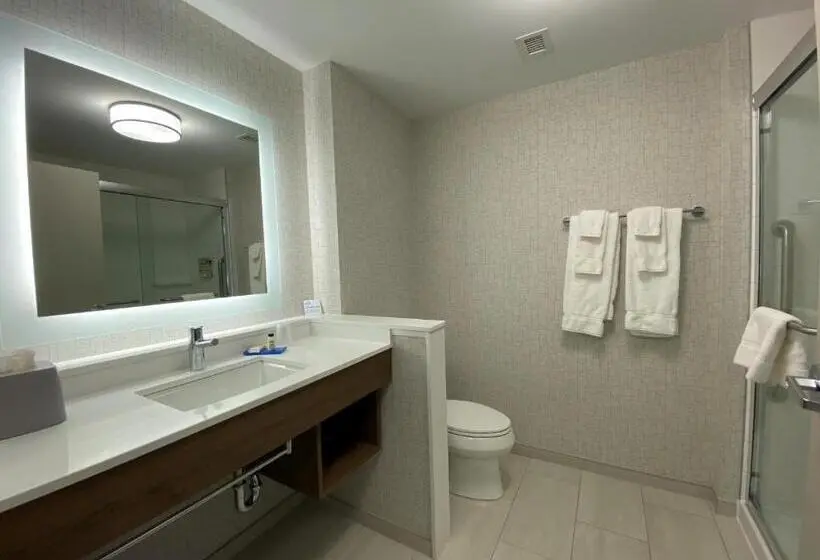 キングサイズベッドのスイートルーム, Holiday Inn Express & Suites   Aurora, An Ihg
