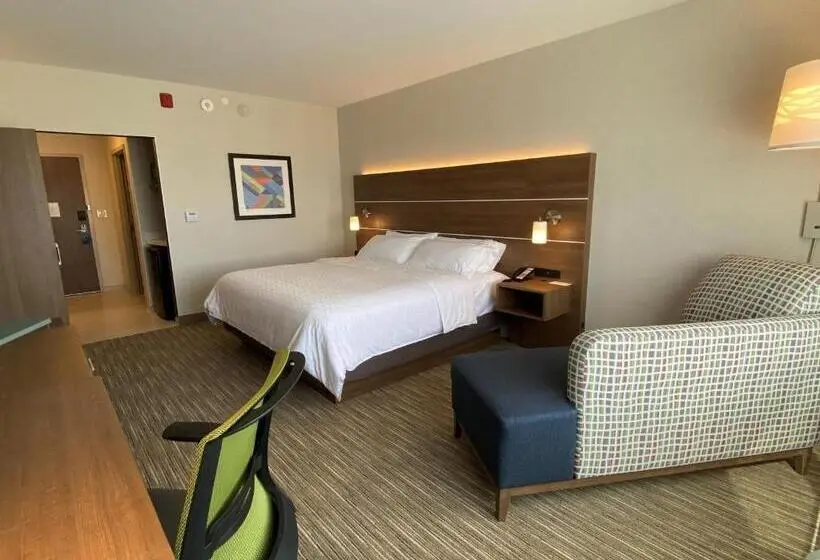 身障者適用キングサイズベッドルーム, Holiday Inn Express & Suites   Aurora, An Ihg
