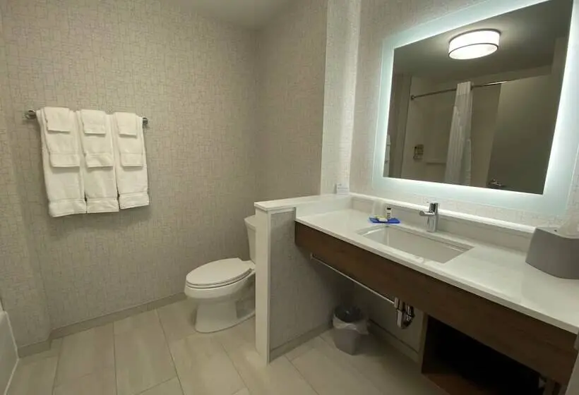 スイート, Holiday Inn Express & Suites   Aurora, An Ihg