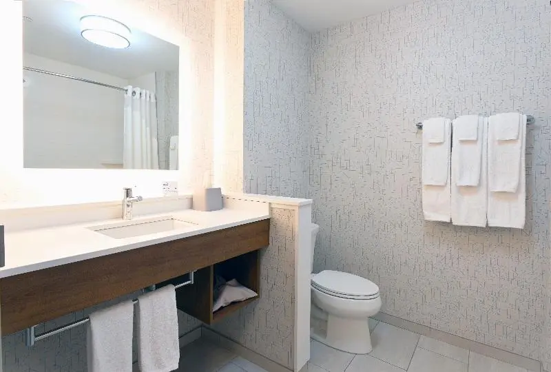 身障者適用キングサイズベッドルーム, Holiday Inn Express & Suites   Aurora, An Ihg
