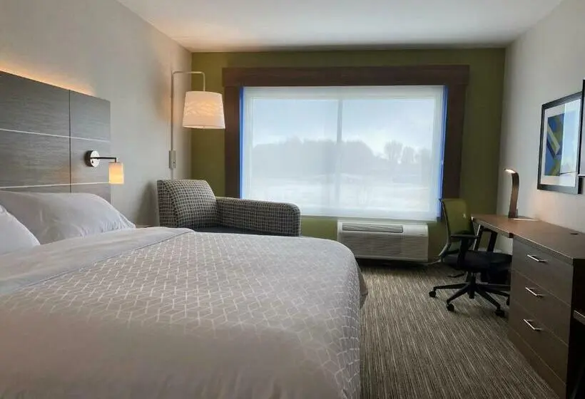 身障者適用キングサイズベッドルーム, Holiday Inn Express & Suites   Aurora, An Ihg