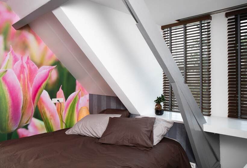 디럭스 룸, House Of Tulips