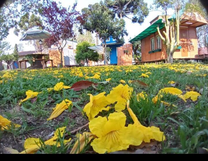 شاليه غرفة نوم واحدة, Mini House Park