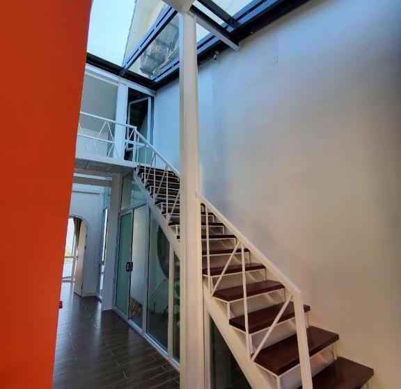 آپارتمان 1 خوابه با چشمانداز, Le Vent Tam đảo Homestay