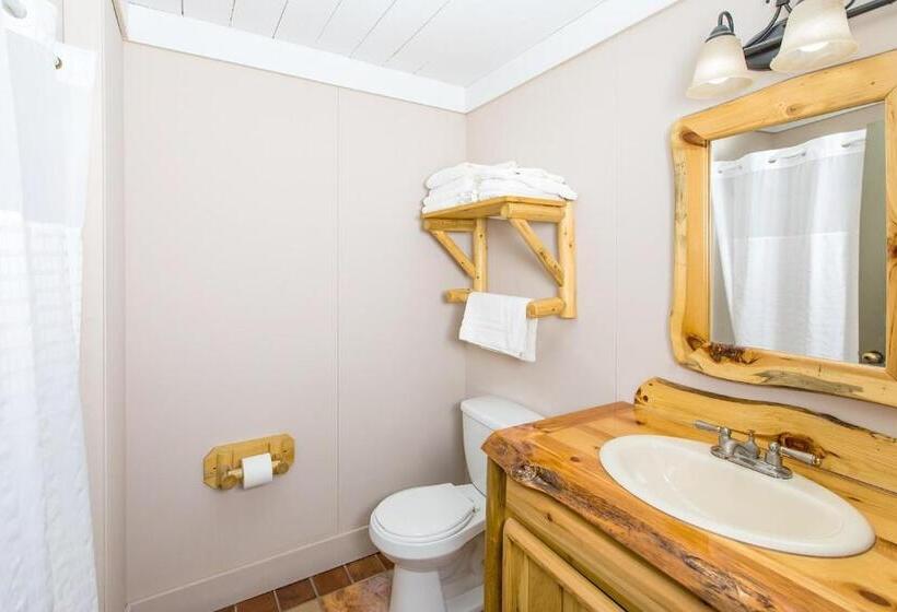 带大床的标准间, Drummond Island Resort & Conference Center