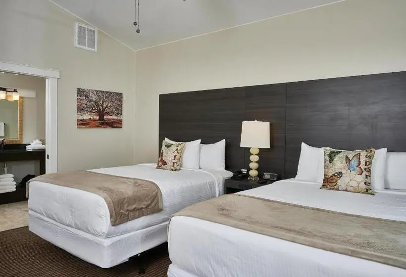 スタンダード4人部屋, Carter Creek Winery Resort & Spa