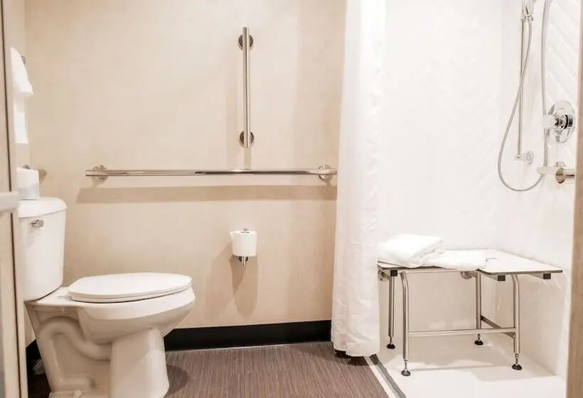 スイート, Holiday Inn & Suites Philadelphia W   Drexel Hill, An Ihg