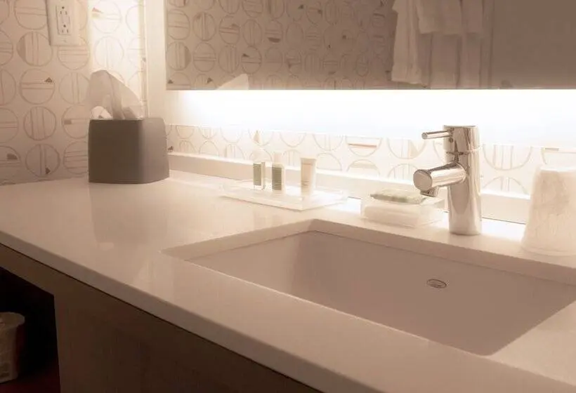 スタンダードルーム, Holiday Inn & Suites Philadelphia W   Drexel Hill, An Ihg