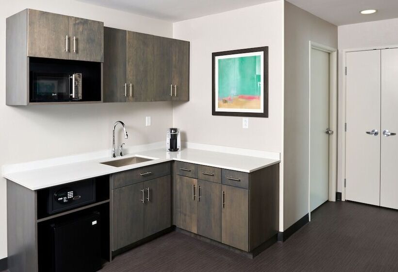 Люкс Адаптированный для Инвалидов, Holiday Inn & Suites Philadelphia W   Drexel Hill, An Ihg