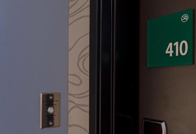 장애인을 위한 킹사이즈 침대 스탠다드 룸, Holiday Inn & Suites Philadelphia W   Drexel Hill, An Ihg