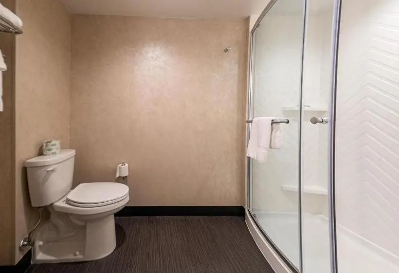 身障者適用スイートルーム, Holiday Inn & Suites Philadelphia W   Drexel Hill, An Ihg